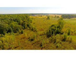 DeKalb County - LAND AUCTION - 2 PROPERTIES, 3.84+/- ACRES IN ALLEN COUNTY, INDIANA & 15+/- ACRES IN DEKALB COUNTY, INDIANA